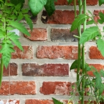 old-european-bricks-in-yard